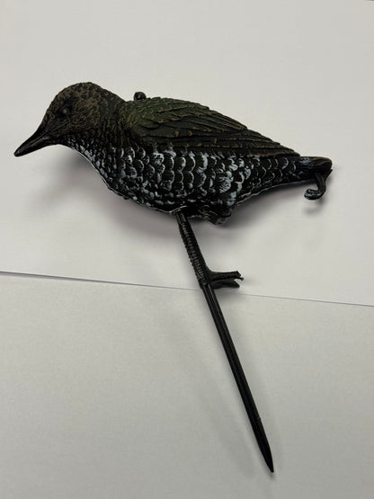Starling Standing - Sturnell Wieqaf
