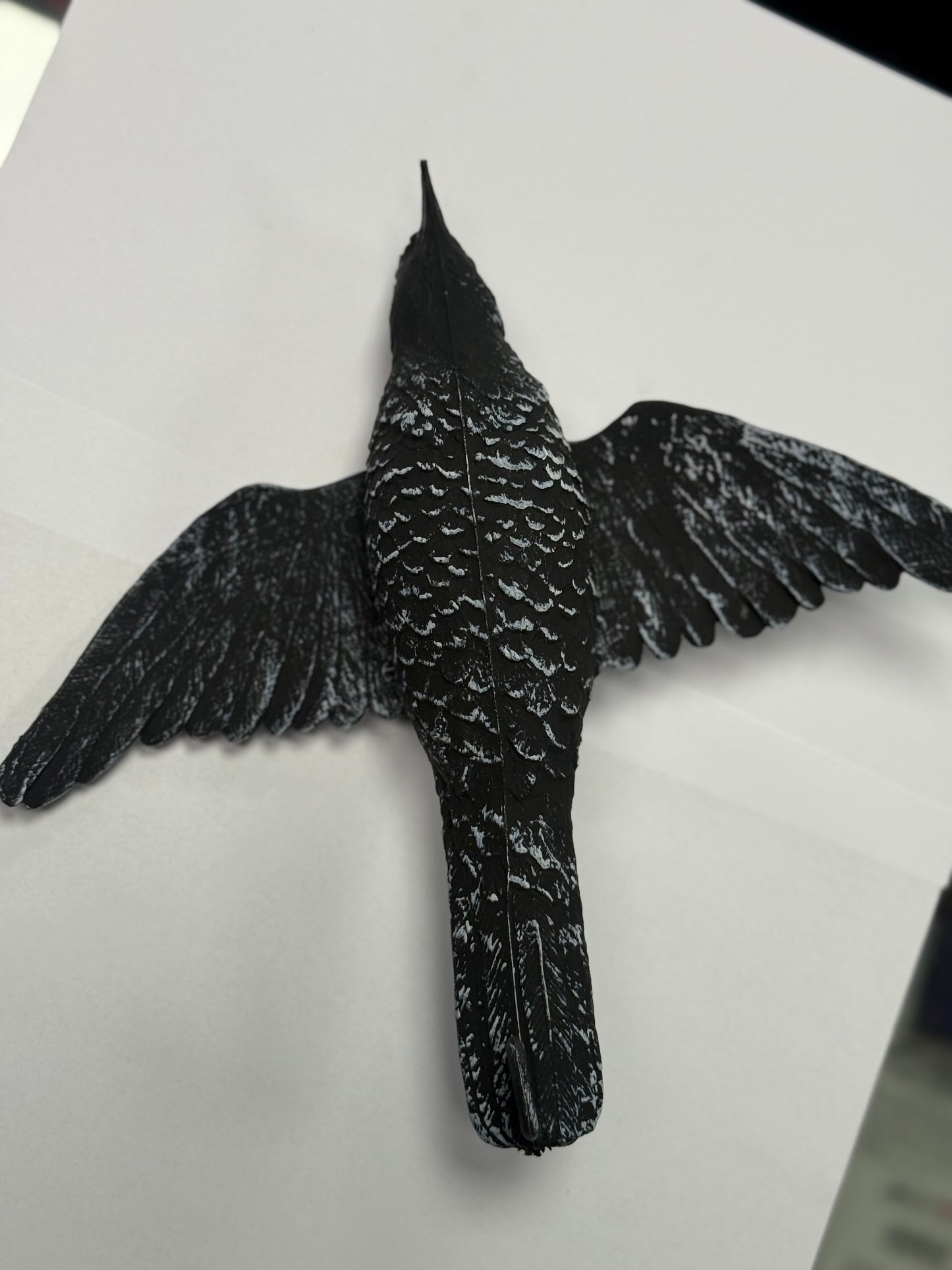 Flying Starling - Sturnell Miftuh