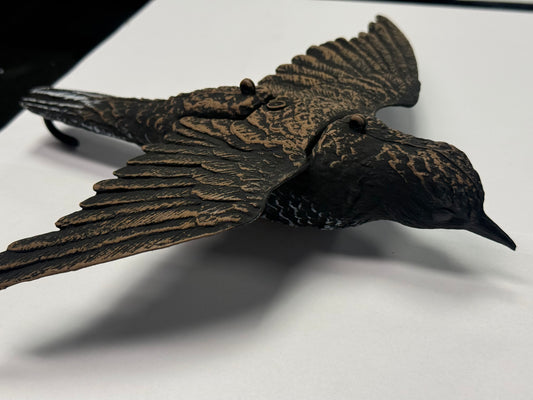 Flying Starling - Sturnell Miftuh